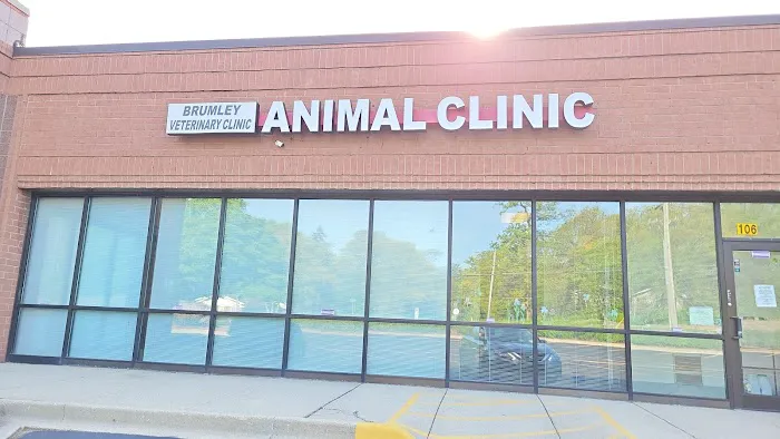 Brumley Veterinary Clinic PC 4