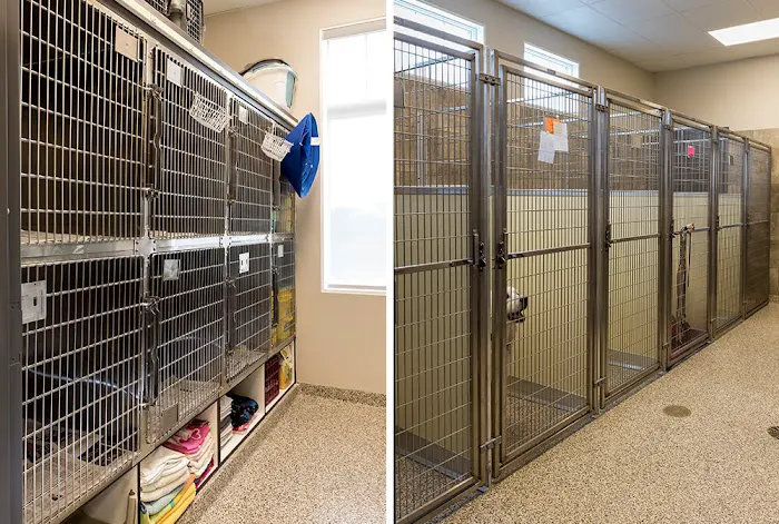 Glendale Animal Hospital 9