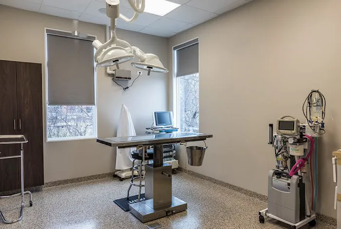 Glendale Animal Hospital 8