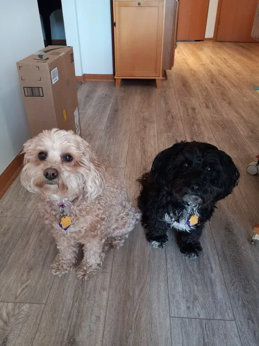 Banfield Pet Hospital 3