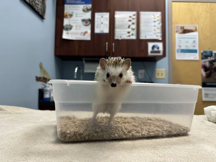 Danada Veterinary Hospital 2