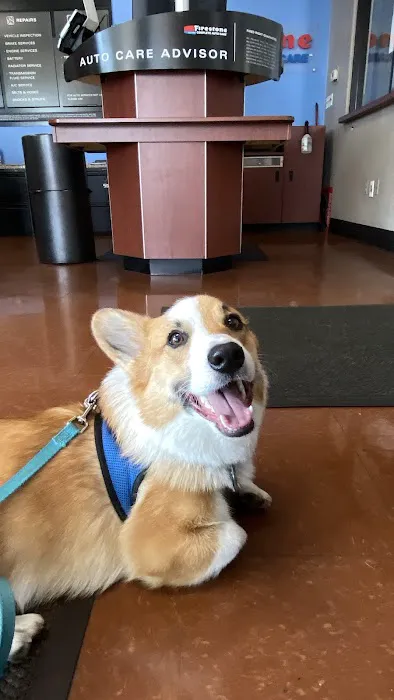 Danada Veterinary Hospital 6