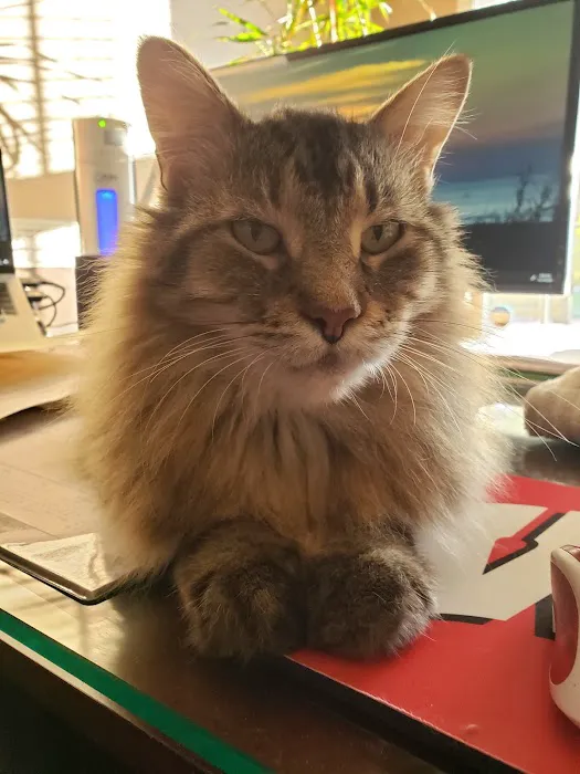 West Suburban Veterinary: Muehrcke Alison D DVM 1