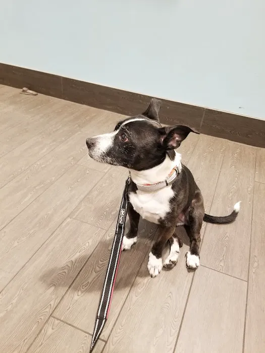 Banfield Pet Hospital 5
