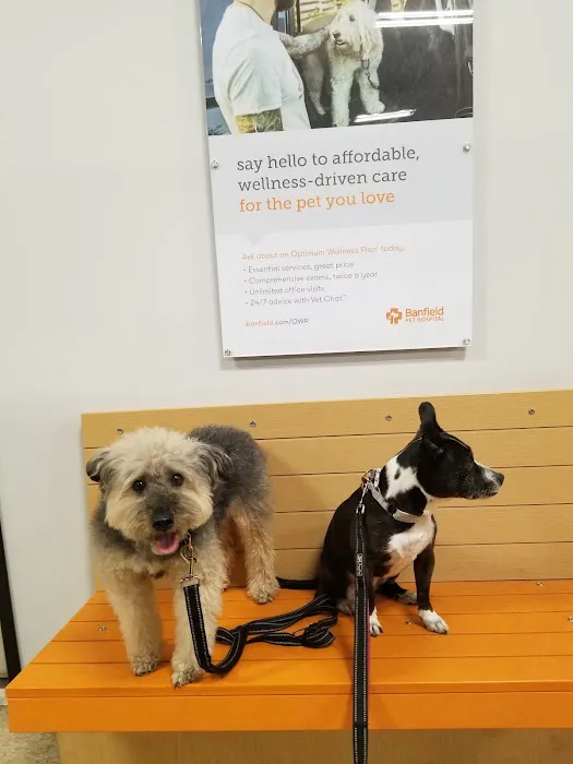 Banfield Pet Hospital 3