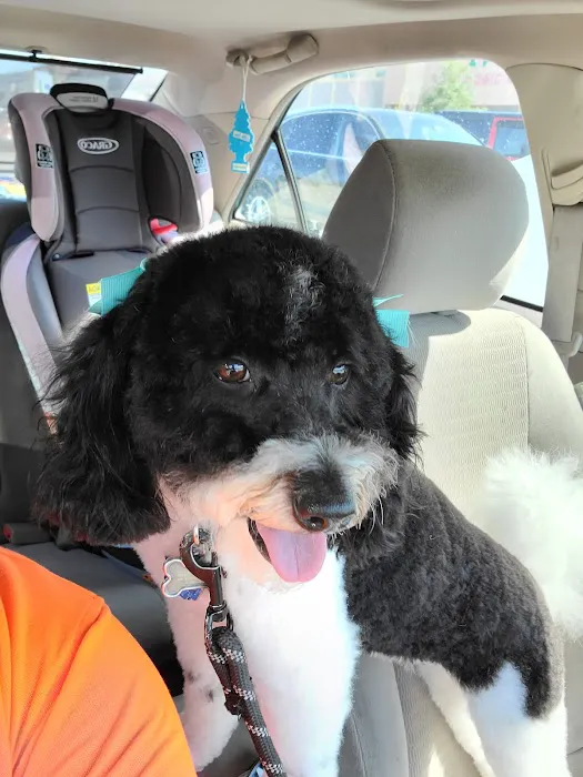 Banfield Pet Hospital 2
