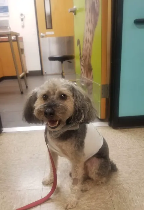 Banfield Pet Hospital 6