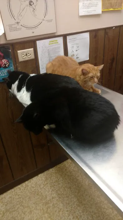 Justice Animal Clinic 12