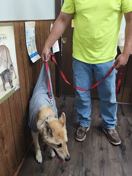 Justice Animal Clinic 12