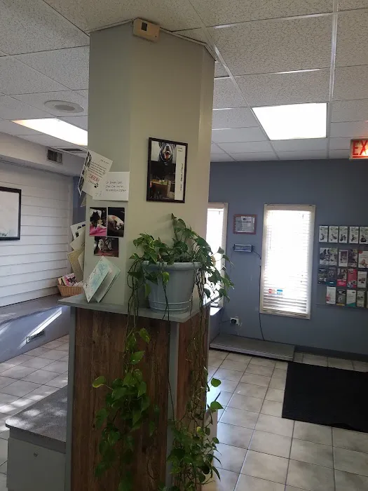 Oak Village Animal Hospital 12