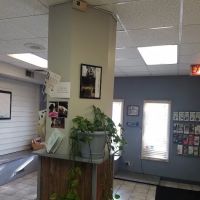 Oak Village Animal Hospital ico