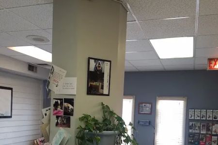 Oak Village Animal Hospital