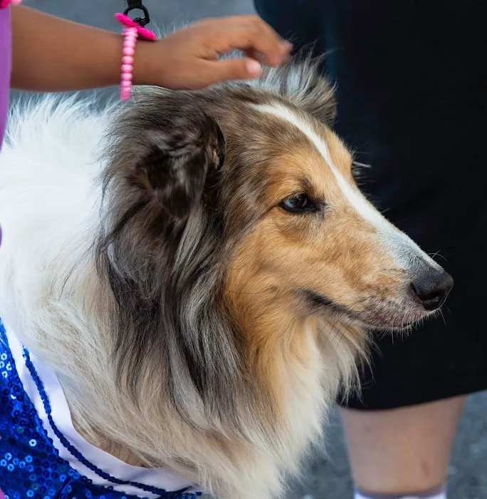 Darien Animal Clinic 12