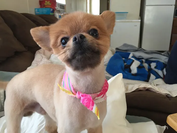 Palos Pet Clinic 12