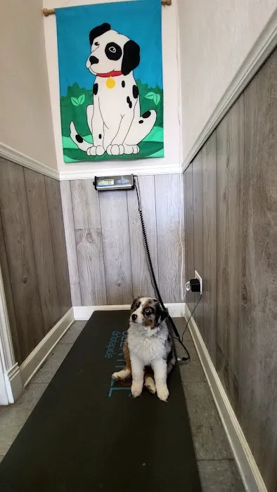 Palos Pet Clinic 12