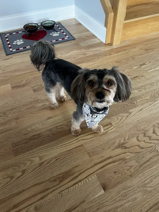 Palos Pet Clinic 12