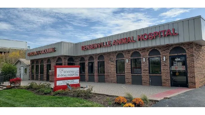 Bensenville Animal Hospital 1
