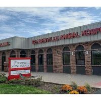 Bensenville Animal Hospital ico