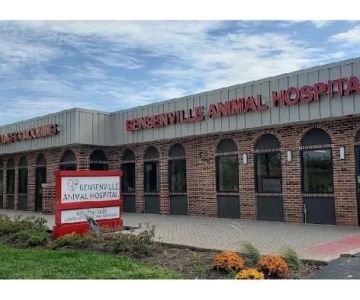 Bensenville Animal Hospital