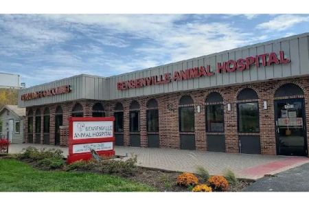 Bensenville Animal Hospital