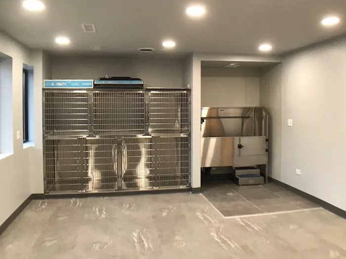 Bensenville Animal Hospital 7