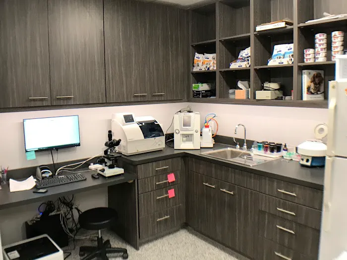 Bensenville Animal Hospital 4