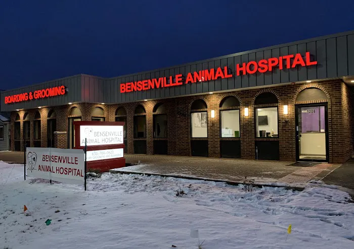 Bensenville Animal Hospital 5