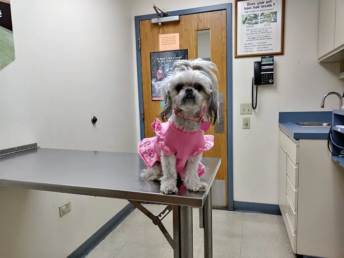 VCA Worth Animal Hospital 12