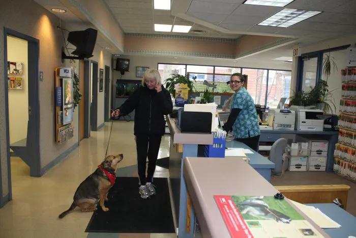 VCA Worth Animal Hospital 12