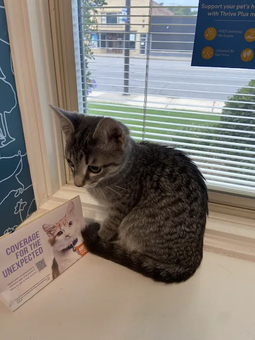Thrive Pet Healthcare - Oak Lawn 3