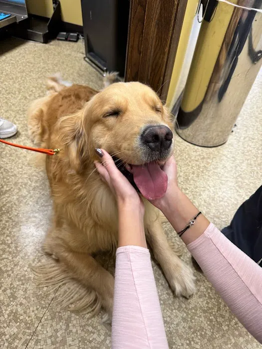 Touhy Animal Hospital & Grooming 12
