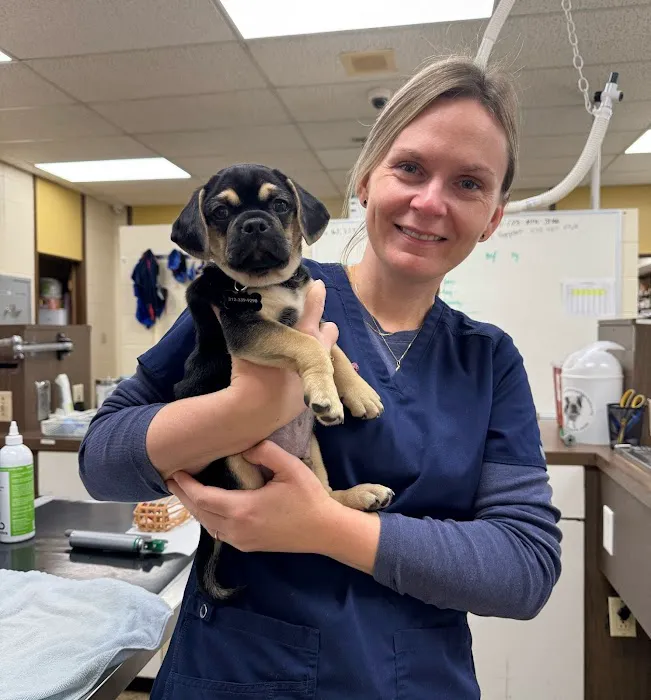 Touhy Animal Hospital & Grooming 12