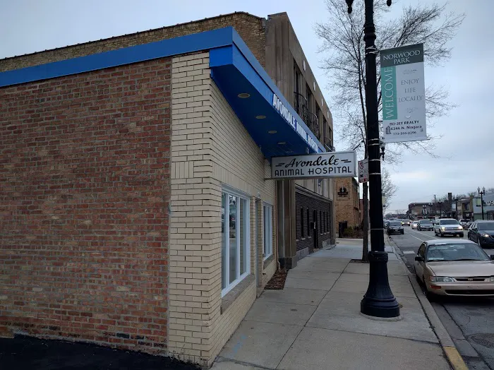 Avondale Animal Hospital 12