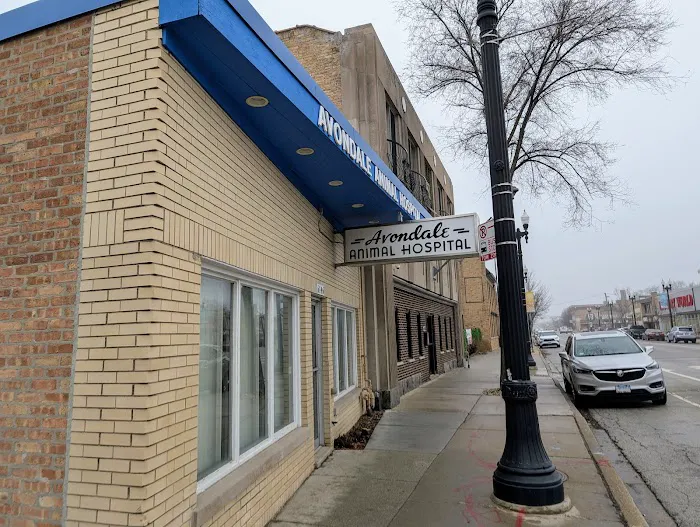 Avondale Animal Hospital 12