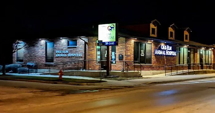 Oak Elm Animal Hospital 1