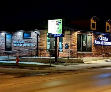 Oak Elm Animal Hospital