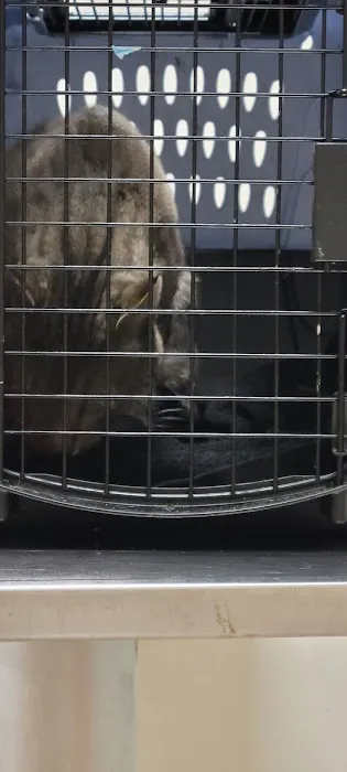 Oak Elm Animal Hospital 10