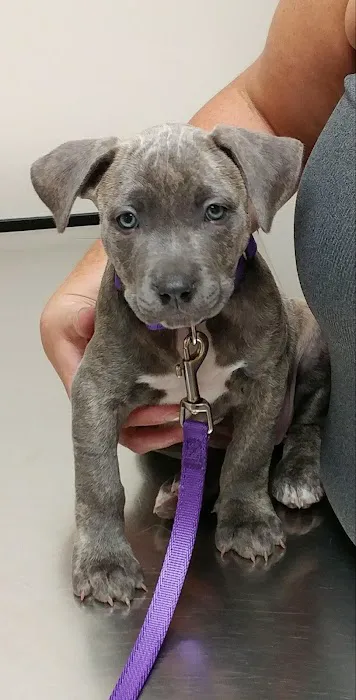 Park Ridge Animal Hospital LLC 3