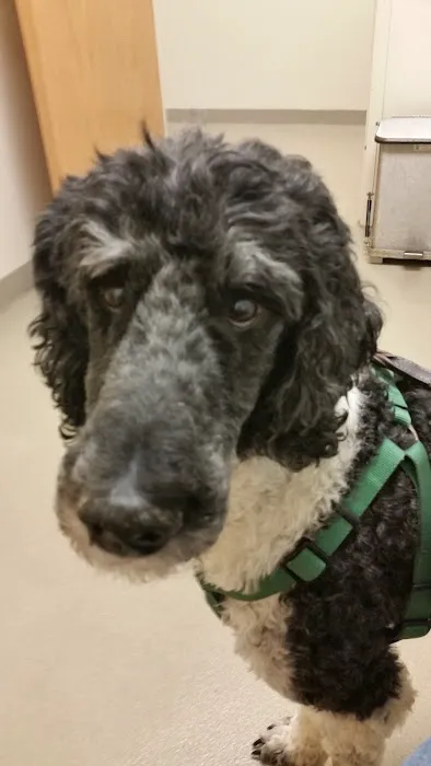 Park Ridge Animal Hospital LLC 9