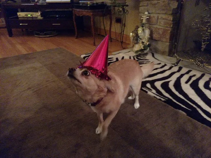 Park Ridge Animal Hospital LLC 6