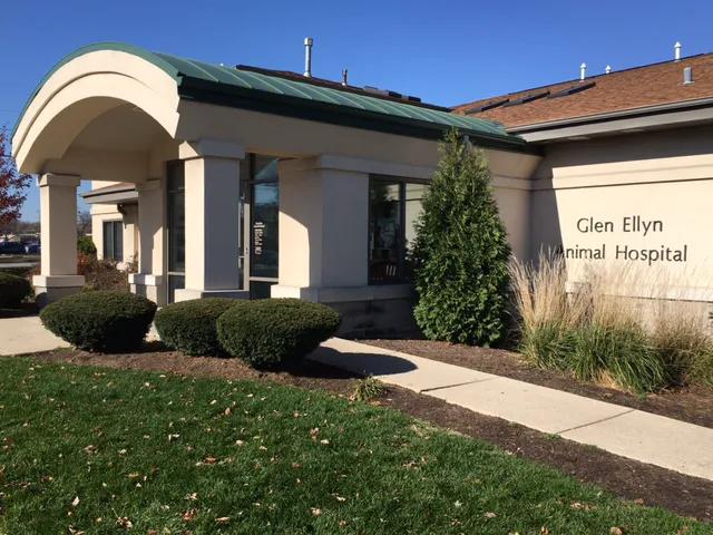 Glen Ellyn Animal Hospital 1