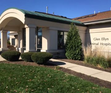 Glen Ellyn Animal Hospital
