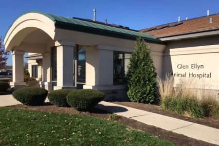 Glen Ellyn Animal Hospital