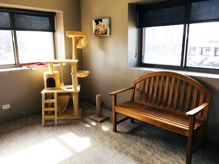 Glen Ellyn Animal Hospital 6