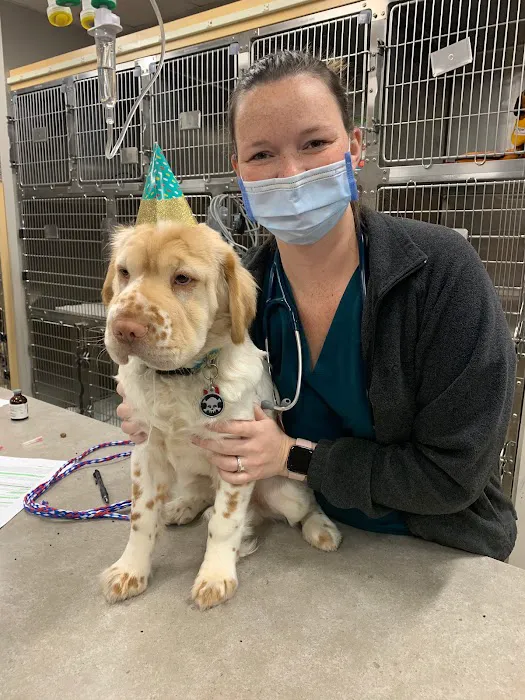 Glen Ellyn Animal Hospital 8