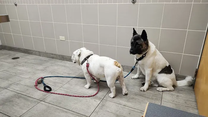 Glen Ellyn Animal Hospital 7