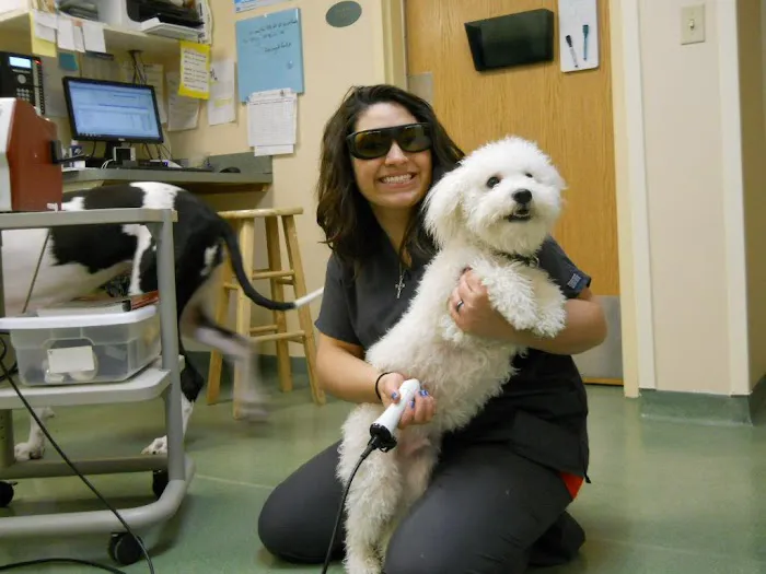 Glen Ellyn Animal Hospital 5