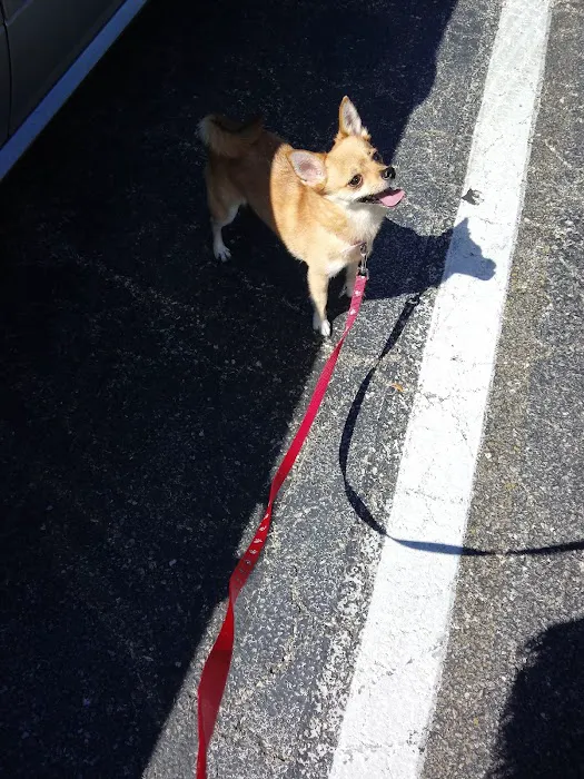Banfield Pet Hospital 8