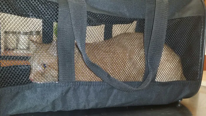 Banfield Pet Hospital 7