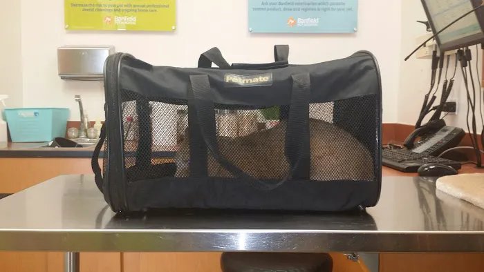 Banfield Pet Hospital 3
